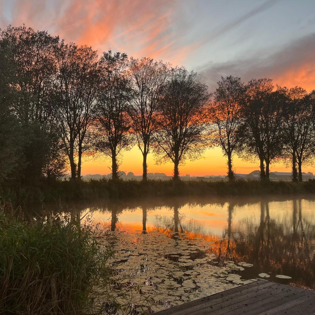 Bed and Breakfast Aan De Hoge Weg Kamperveen Экстерьер фото