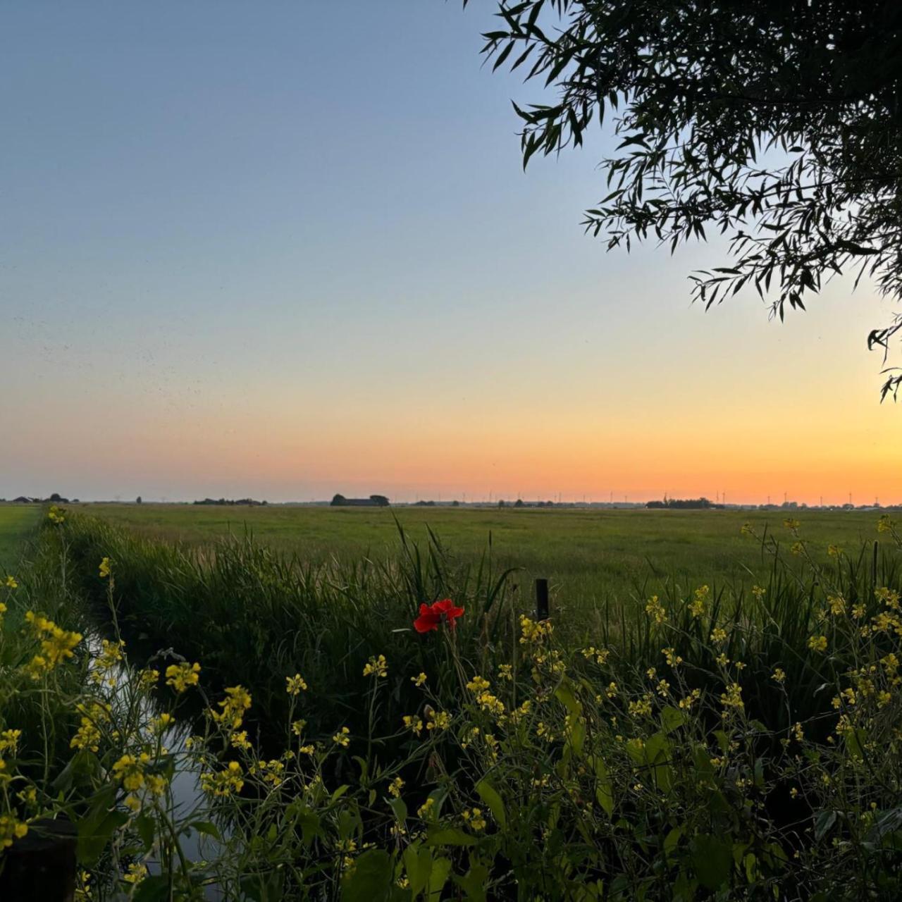 Bed and Breakfast Aan De Hoge Weg Kamperveen Экстерьер фото