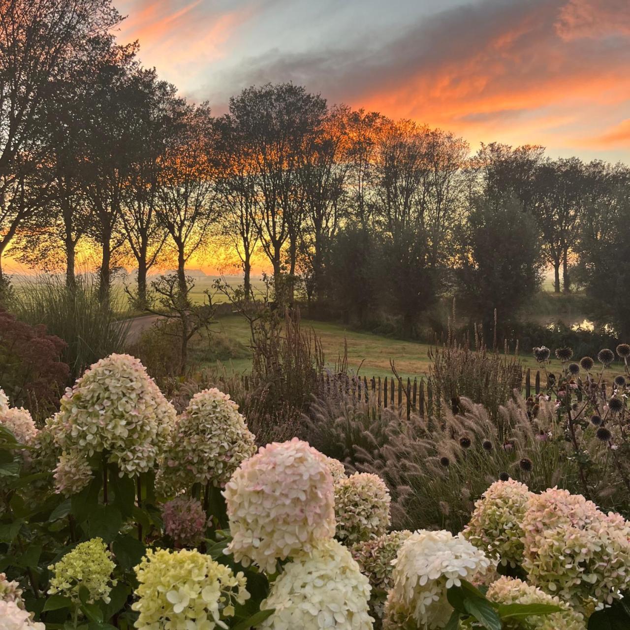 Bed and Breakfast Aan De Hoge Weg Kamperveen Экстерьер фото