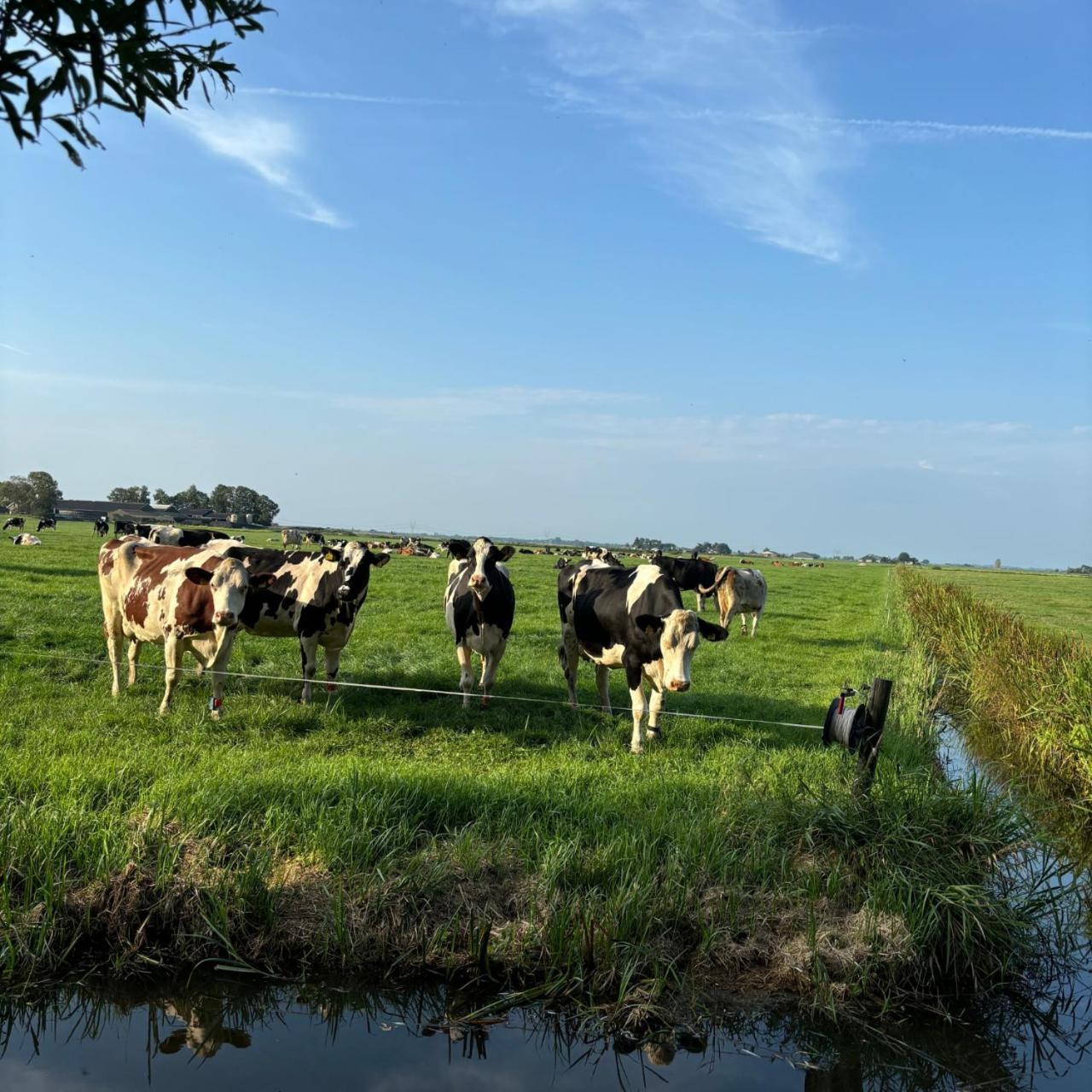 Bed and Breakfast Aan De Hoge Weg Kamperveen Экстерьер фото